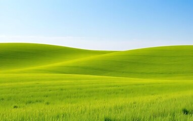 Obraz premium Ultra-Clean Horizon Over Summer Meadows.