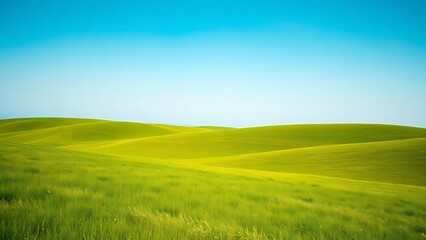 Obraz premium Vibrant Minimalist Landscape of Green Fields.