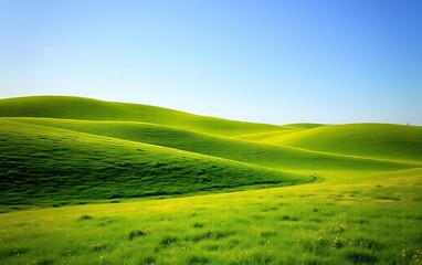Obraz premium Rolling Green Meadows Under Clear Summer Sky.