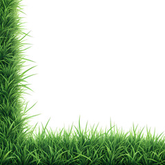 Vibrant realistic grass frame perfect for spring