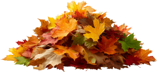 Vibrant Pile of Autumn Leaves in Rich Fall Colors Captures the Essence of Seasonal Change