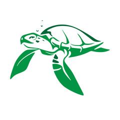 Swimming Green Sea Turtle Art