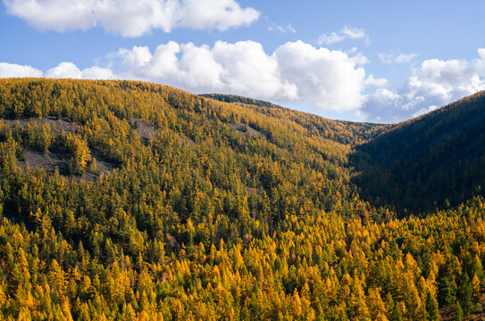 autumn in the Mongolian mountains, Bogd Khan Uul