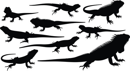 Collection of Lizard and Iguana Silhouettes Vector Set in Various Poses, Featuring Bearded Dragons and Large Reptiles, Ideal for Wildlife and Exotic Pet Themes.