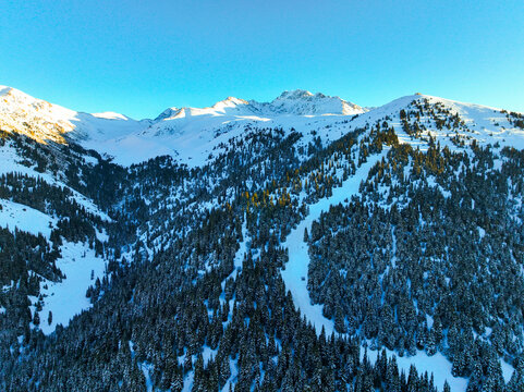 Aerial view of a mountain slope featuring cleared ski runs and dense, dark coniferous forest, beneath sunlit, snow-capped peaks against a clear blue sky - Powered by Adobe