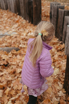 Child walking through autumn leaves in boise foothills