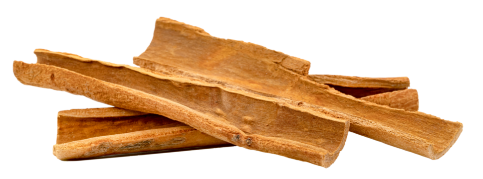 Group of dried cinnamon bark sticks isolated. Aromatic spice with warm brown color and textured surface. Ingredient for cooking and baking, natural health remedy.