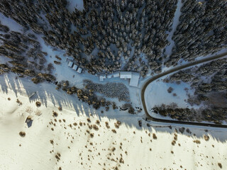Directly overhead aerial view of a cluster of small cabins and a road tucked into the boundary between a dense pine forest and a wide, exposed, snow-covered slope