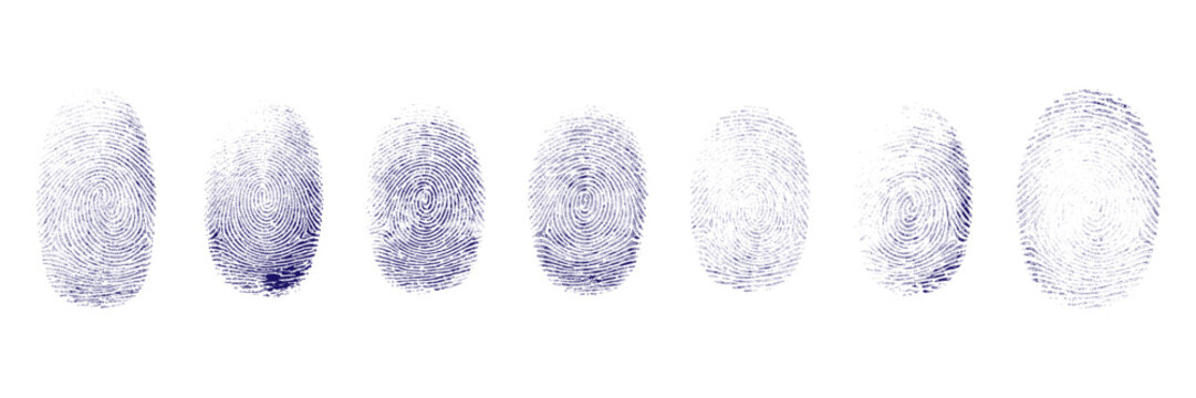 Modern blue fingerprint biometric security icons set for digital identity verification. Blue fingerprint pattern set vector illustration. Unique biometric identity scan concept on white background.