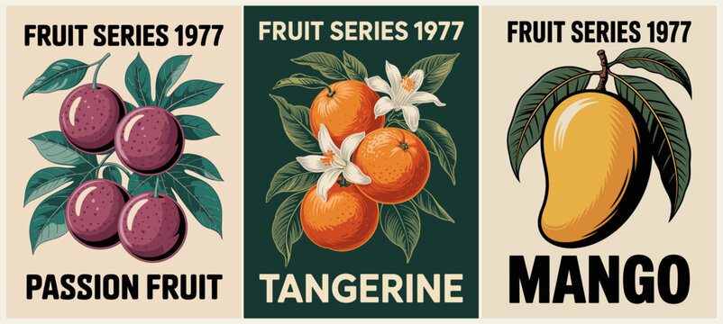 Vintage 1977 fruit poster triptych featuring passion fruit, tangerine, and mango with retro botanical illustrations, detailed shading, and classic mid-century style