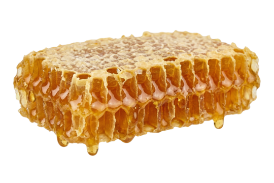 Golden Honeycomb Piece with Dripping Honey Macro Isolated