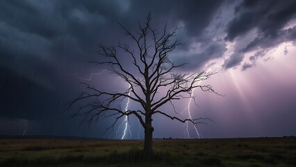 Fototapeta premium predictability. A solitary tree struck by lightning during a storm with dramatic sky. ESG reports, sustainability campaigns, designed for sustainability communications and ESG reporting.