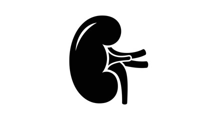 Kidney icon in simple black glyph style vector illustration for medical designs isolated on white background