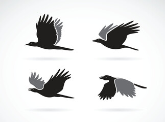 Variety of Flying Birds Silhouettes - Elegant Bird Designs for Wildlife Art