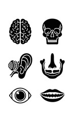 Black and white human anatomy icons set featuring brain, skull, ear, eye, mouth and facial structure