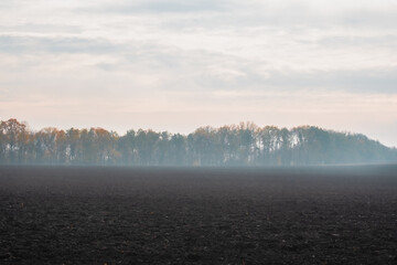 Horizontal landscape of a dark plowed field meeting a colorful autumn forest belt in light mist...