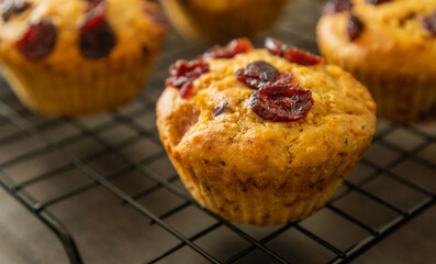 festive cranberry and orange muffin close-up