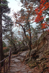 Hiking trail in the autumn mountains of Seoraksan National Park