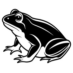 Stylized white frog silhouette with bold lines on a black background isolated on white background isolated on transparent background