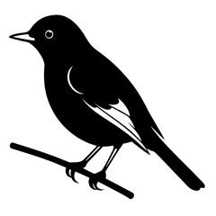 Stylized white bird silhouette with sharp beak and detailed wings on black background isolated on white background isolated on transparent background
