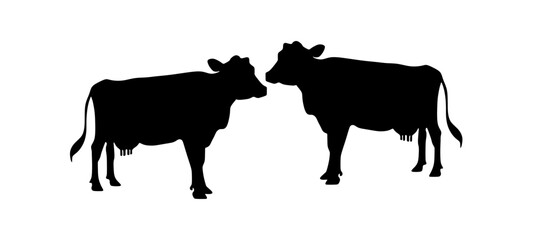 Cow black silhouette isolated on white background. Vector illustration.