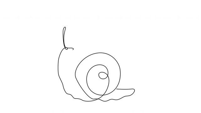 Continuous Line Garden Snail Drawing Animation
