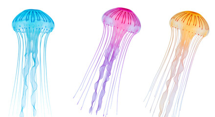 olorful jellyfis float gently against a clean white background