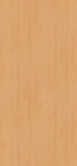 Naklejka premium Clean Light Maple Veneer Background