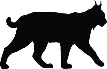 Black silhouette of a lynx walking isolated on white