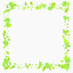 frame with green leaves