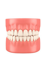 Dental Health and Hygiene: 3D Rendering of Teeth and Gums for Educational Purposes and Oral Care Promotion - Illustrated Model for Dentists and Patients, Good Tooth Care is Vital to Healthy Smiles