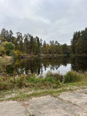 Autumn Lake with Forest Reflections Ukraine Voditsa Forest