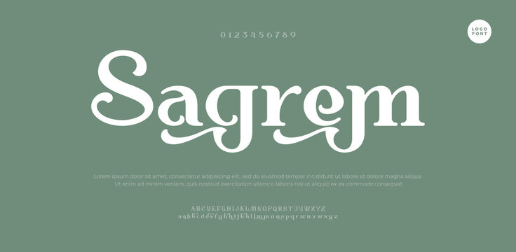 Hand drawn vector alphabet. Modern monoline signature script font. Elegant Signature Font. Best Alphabet Beautiful Calligraphy Signature Font