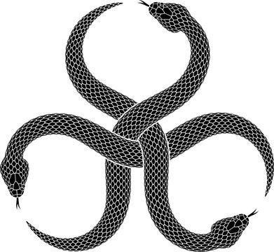 Three Snakes Intertwined to form Biohazard Symbol. Interwoven Serpents Emblem, Mythological Toxic Danger Icon. Black Vector Isolated  Tattoo Illustration.
