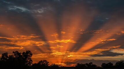 Dramatic Sunset Sky With Orange and Yellow Hues Illuminating Through Clouds Above Silhouetted Trees
