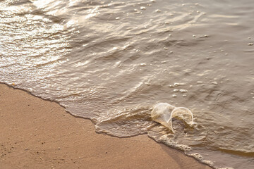 Plastic cup washed up on sandy beach shoreline with gentle incoming tide under warm sunlight