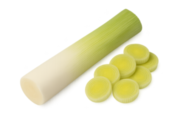 Green-to-white gradient cylinder beside pale yellow-green round discs with concentric rings