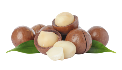 Pile of whole and halved macadamia nuts with brown shells and green leaves, arranged closely together, isolated on white