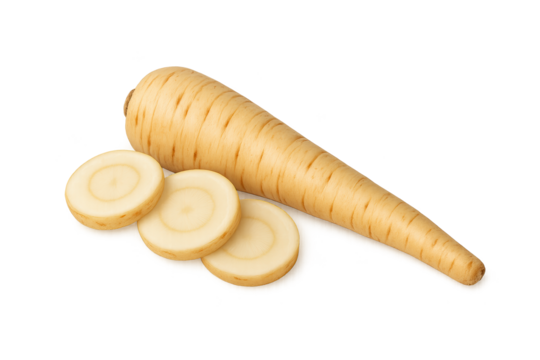White root vegetable resembling carrot with several round slices