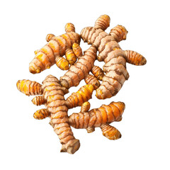A Pile of Fresh Turmeric Roots with Wrinkled Skin and Yellowish Orange Flesh Isolated on Black Background