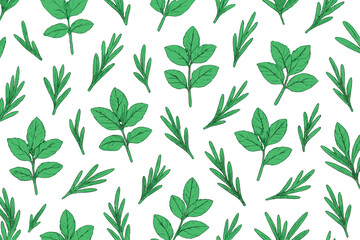 Seamless botanical pattern with mint and rosemary on green background