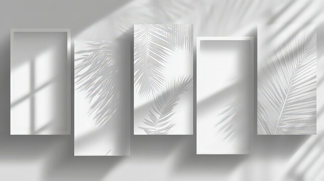 Abstract White Background with Five Rectangular Frames and Blurred Palm Leaf Shadows Overlaying the Frames Creates Soft Light Effects with Subtle Texture