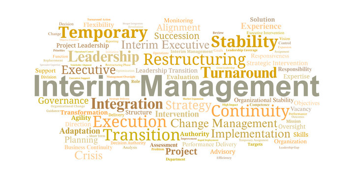 Interim Management Word Cloud. Core Terms for Temporary Leadership and Organizational Stability