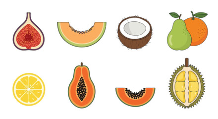 Assortment of fresh fruits colorful slices and whole objects vector illustration