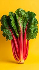 Vibrant Fresh Swiss Chard Bunch with Red Stems and Green Leaves on a Bright Yellow Background.