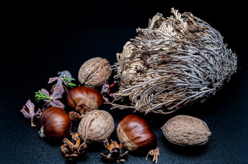 Beautiful still life photos of typical autumn fruits