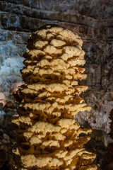 The Frasassi Caves are underground karst caves located in the municipality of Genga, in the province of Ancona, within the Gola della Rossa and Frasassi Regional Natural Park.