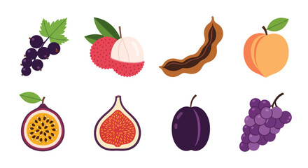 Assortment of vibrant vector fruit illustrations on a clean white backdrop