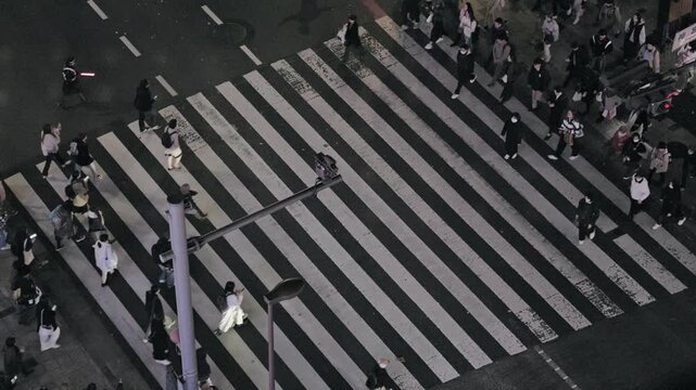 Night in Tokyo : Traffic Light has Changed and People are Crossing the Crosswalk in an Entertainment Street  |  Omotesando, Tokyo, Japan