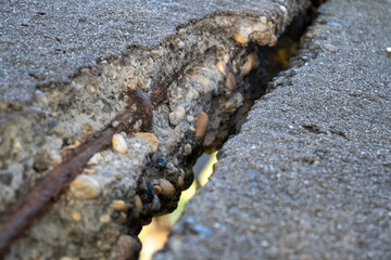 Cracked Concrete With Exposed Rusty Rebar